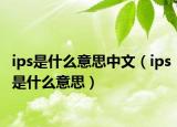 ips是什么意思中文（ips是什么意思）