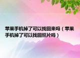 苹果手机掉了可以找回来吗（苹果手机掉了可以找回照片吗）
