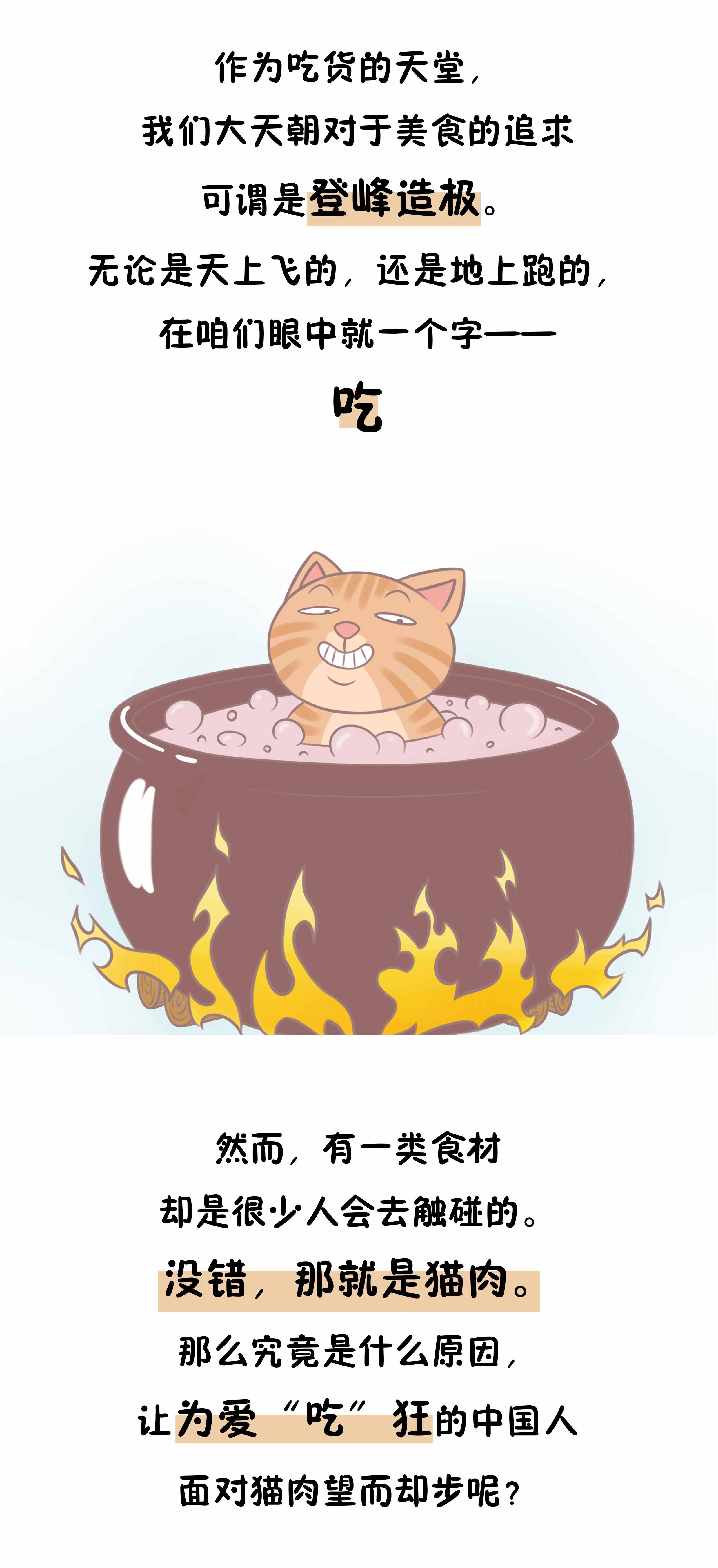 吃猫肉竟是国人的忌讳，仅仅是因为口感不好吗？可没那么简单