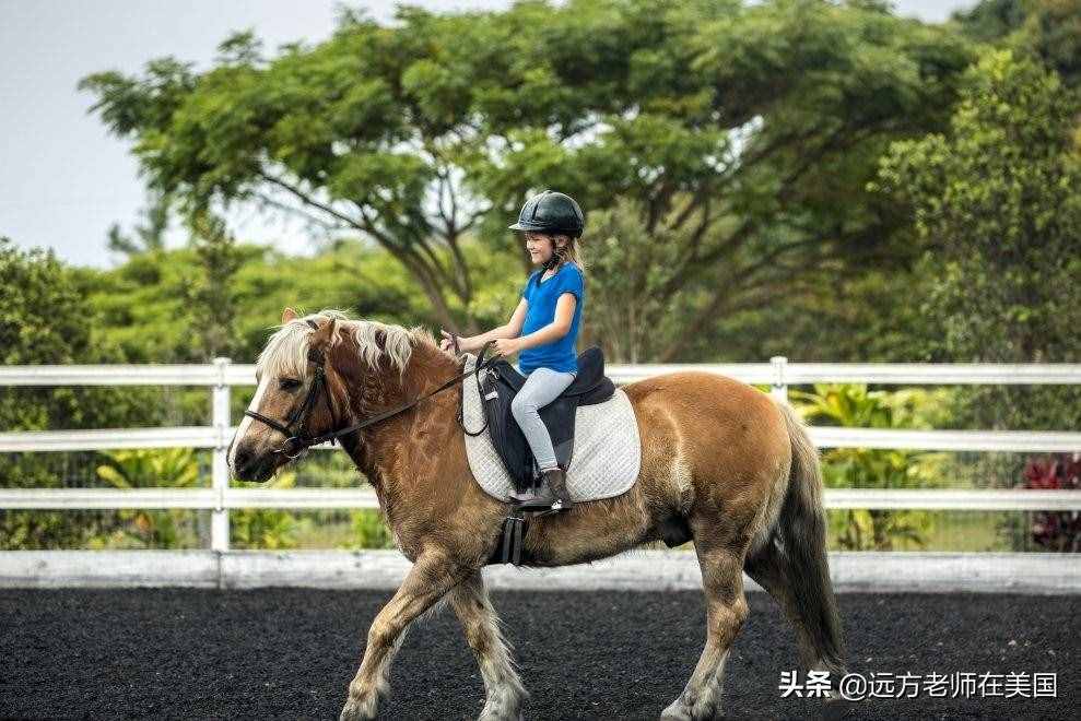 培养孩子体育特长，这三项运动最烧钱