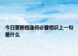 今日更新相逢何必曾相识上一句是什么