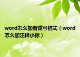 word怎么加着重号格式（word怎么加注释小标）