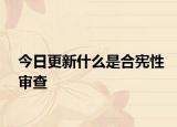 今日更新什么是合宪性审查