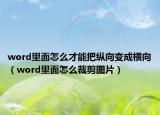 word里面怎么才能把纵向变成横向（word里面怎么裁剪图片）