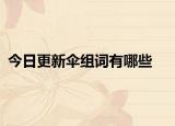 今日更新伞组词有哪些
