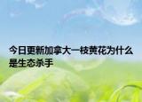 今日更新加拿大一枝黄花为什么是生态杀手