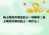 海上明月共潮生的上一句默写（海上明月共潮生的上一句什么）