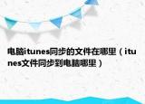 电脑itunes同步的文件在哪里（itunes文件同步到电脑哪里）