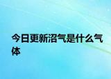 今日更新沼气是什么气体