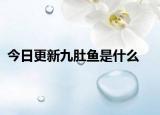 今日更新九肚鱼是什么