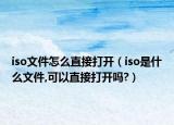 iso文件怎么直接打开（iso是什么文件,可以直接打开吗?）