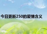 今日更新250的爱情含义