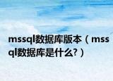 mssql数据库版本（mssql数据库是什么?）