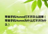 苹果手机itunes打不开怎么回事（苹果手机itunes为什么打不开为什么）