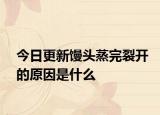 今日更新馒头蒸完裂开的原因是什么
