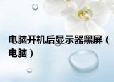 电脑开机后显示器黑屏（电脑）