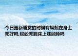 今日更新睡觉的时候有蜈蚣在身上爬好吗,蜈蚣爬到床上还能睡吗