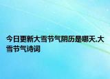 今日更新大雪节气阴历是哪天,大雪节气诗词