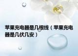 苹果充电器是几根线（苹果充电器是几伏几安）