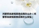 鸿蒙系统发现恶意应用怎么办（鸿蒙系统发现恶意应用怎么安装）