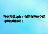存储容量1pb（有没有存储空间1pb的电脑啊）