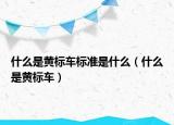 什么是黄标车标准是什么（什么是黄标车）