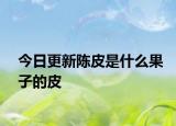 今日更新陈皮是什么果子的皮