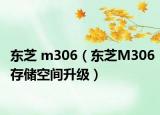东芝 m306（东芝M306存储空间升级）