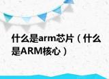 什么是arm芯片（什么是ARM核心）