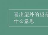 今日更新喜出望外的望（喜出望外的望是什么意思）