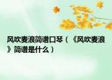 风吹麦浪简谱口琴（《风吹麦浪》简谱是什么）