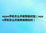 oppo手机怎么开启智能识别（oppo手机怎么开启智能侧边栏）