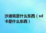 沙迪克是什么东西（sd卡是什么东西）