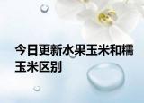 今日更新水果玉米和糯玉米区别