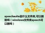 speechsuite是什么文件夹,可以删除吗（windows文件夹speech可以删吗）