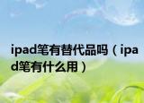 ipad笔有替代品吗（ipad笔有什么用）