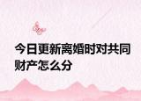 今日更新离婚时对共同财产怎么分