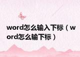 word怎么输入下标（word怎么输下标）