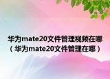 华为mate20文件管理视频在哪（华为mate20文件管理在哪）