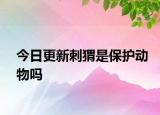 今日更新刺猬是保护动物吗