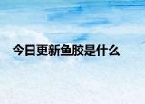 今日更新鱼胶是什么