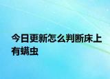 今日更新怎么判断床上有螨虫