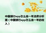 中国银行app怎么查一年消费分析图（中国银行app怎么查一年的收入）