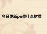 今日更新pu是什么材质
