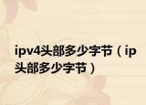 ipv4头部多少字节（ip头部多少字节）