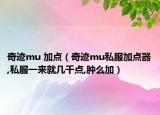奇迹mu 加点（奇迹mu私服加点器,私服一来就几千点,肿么加）