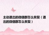 主动退出的微信群怎么恢复（退出的微信群怎么恢复）