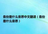备份是什么意思中文翻译（备份是什么意思）