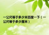 一公尺等于多少米百度一下（一公尺等于多少厘米）