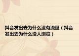 抖音发出去为什么没有流量（抖音发出去为什么没人浏览）